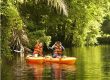 mangrove kayak tour quepos costa rica