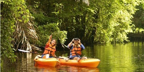mangrove kayak tour quepos costa rica