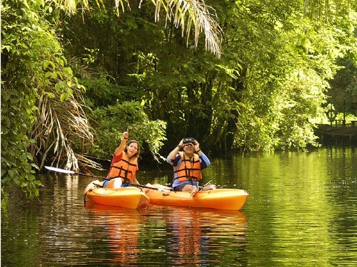mangrove kayak tour quepos costa rica