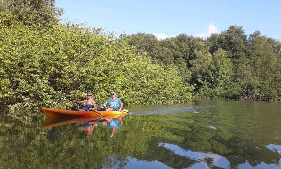 mangrove kayak tour manuel antonio